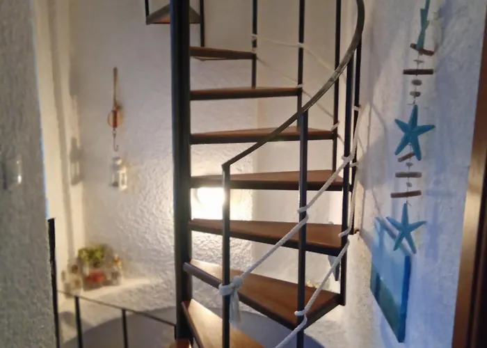 Rebekka's Elani