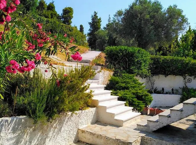 Vilă Rebekka's Elani *