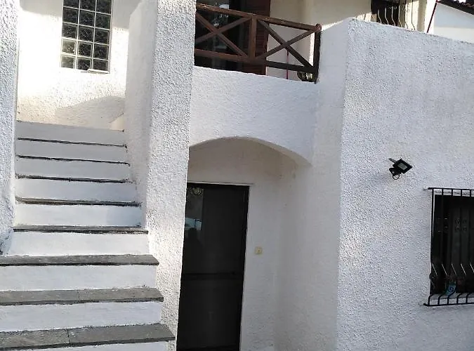 Rebekka's Elani * Siviri