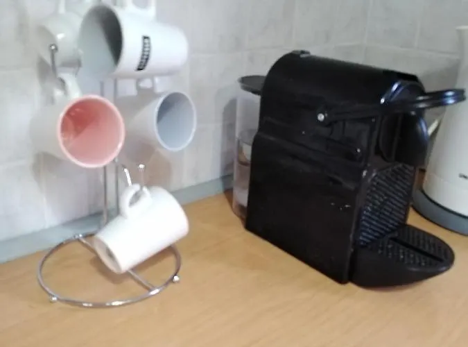 Rebekka's Elani Siviri